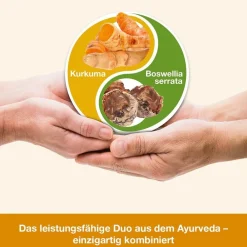 curcumin-Loges plus Boswellia - hoch bioverfügbare Kurkuma-Kapseln plus Weihrauch><noscript><img width=
