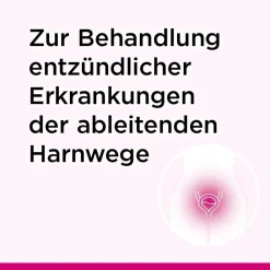 akut bei akuter Blasenentzündung & Harnwegsinfektion><noscript><img width=