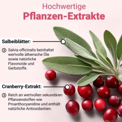 DÖDERLEIN® CystoBiotic Milchsäurebakterien + Cranberry Biotin><noscript><img width=