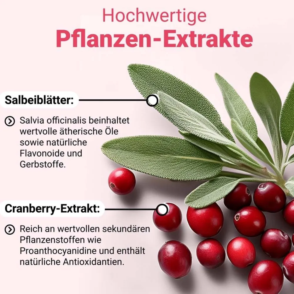 DÖDERLEIN® CystoBiotic Milchsäurebakterien + Cranberry Biotin> Sale