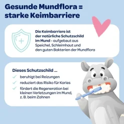 Zahncreme Mundflora+ Baby><noscript><img width=