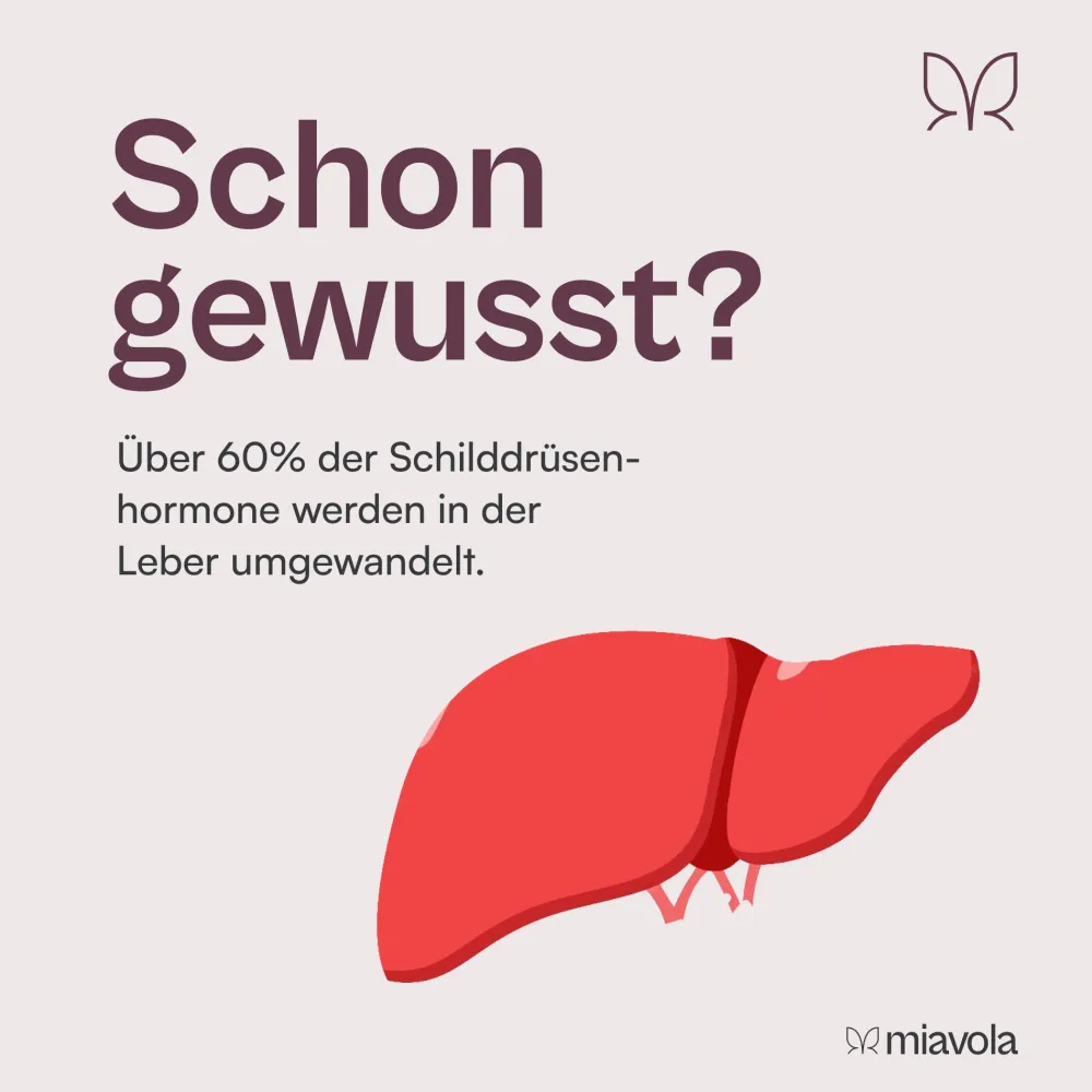 Der Umwandler® Leber-Komplex von miavola>
