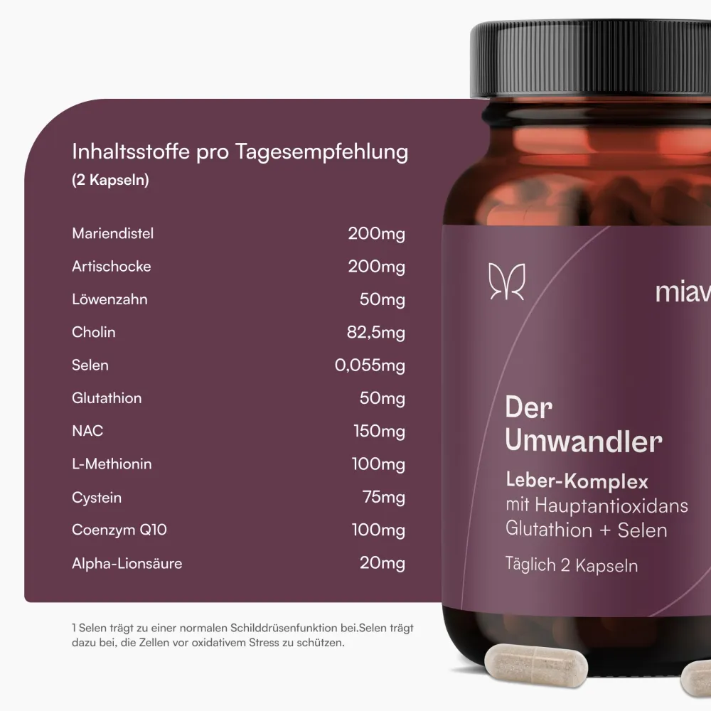 Der Umwandler® Leber-Komplex von miavola>