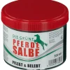 Die Grüne Pferdesalbe| New