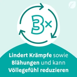 Digestopret® bei Darmbeschwerden – mit hochdosiertem Pfefferminzöl><noscript><img width=