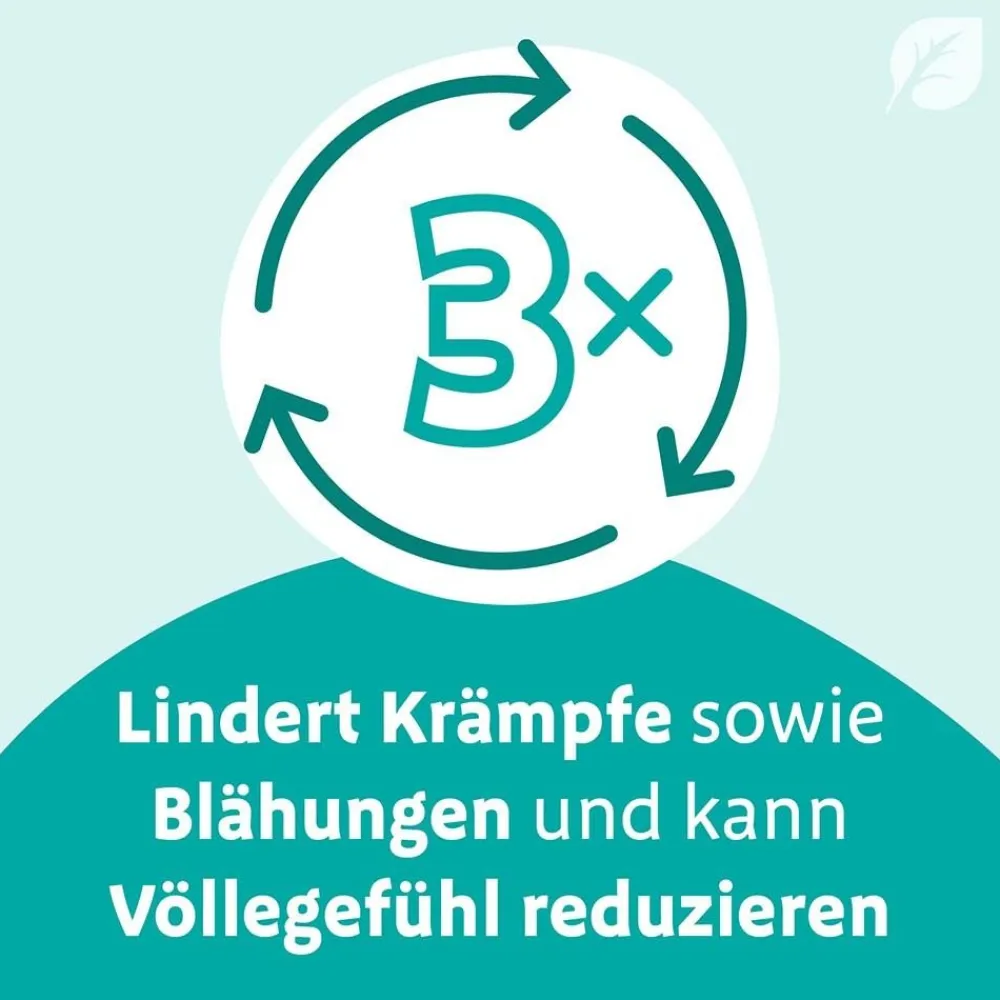 Digestopret® bei Darmbeschwerden – mit hochdosiertem Pfefferminzöl> Sale