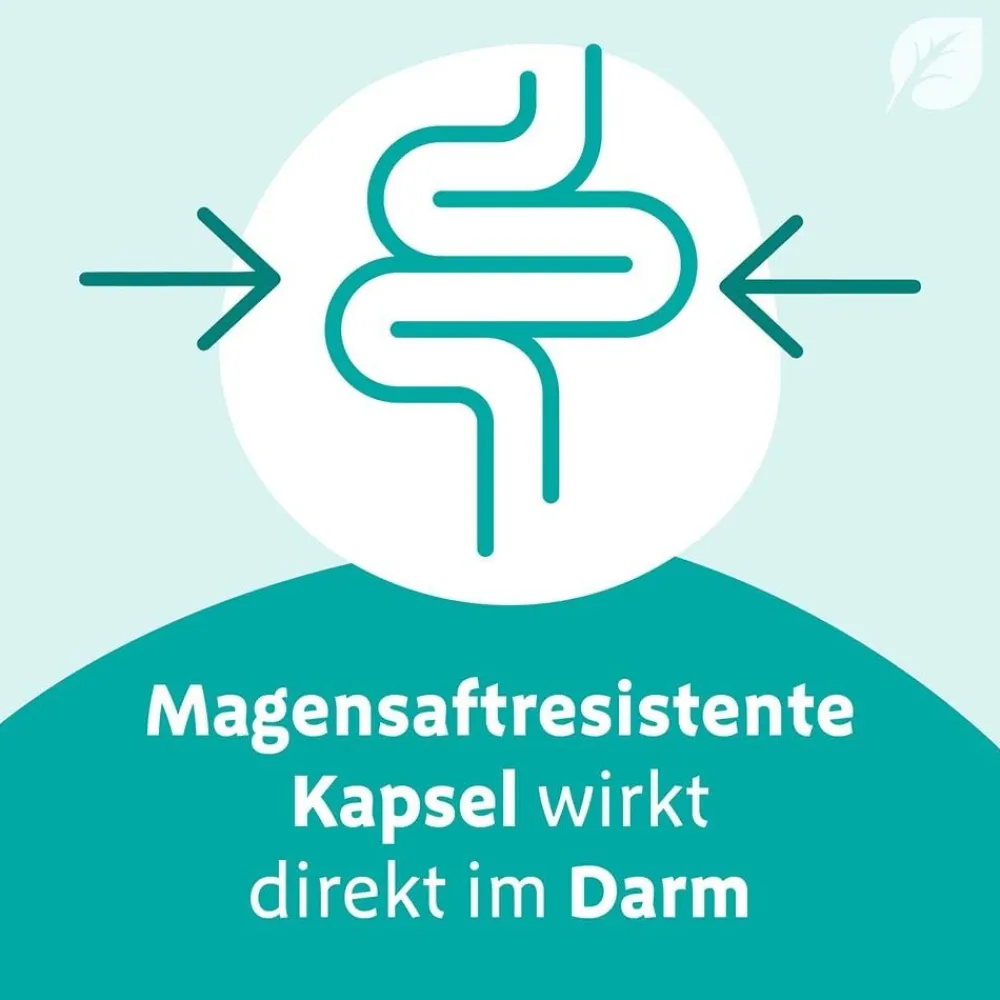 Digestopret® bei Darmbeschwerden – mit hochdosiertem Pfefferminzöl> Sale