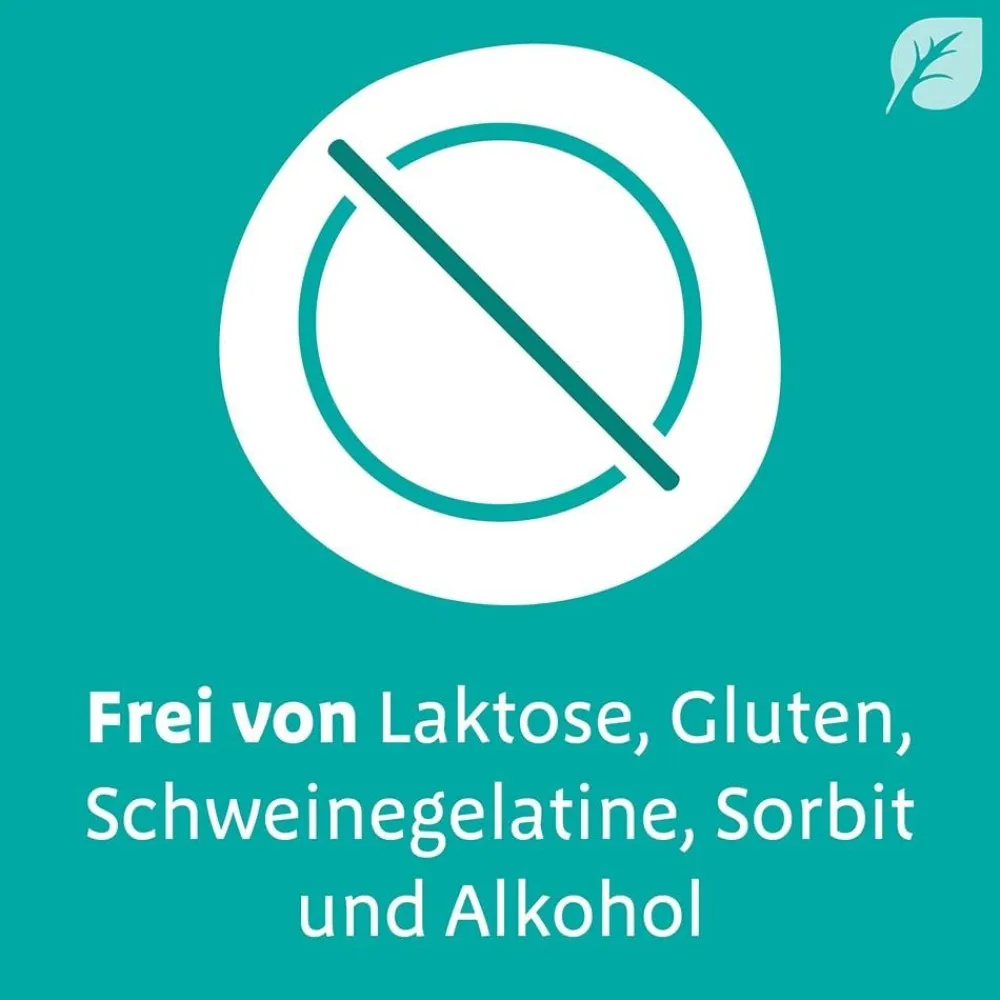 Digestopret® bei Darmbeschwerden – mit hochdosiertem Pfefferminzöl> Sale