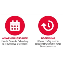 D3 + K2 Vit AL 4000 I.E. / 80 µg Kapseln: ein starkes Duo für die Knochen><noscript><img width=