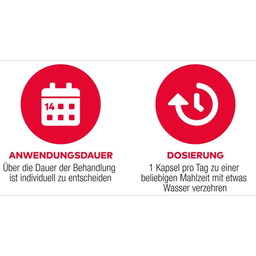 D3 + K2 Vit AL 4000 I.E. / 80 µg Kapseln: ein starkes Duo für die Knochen> Online