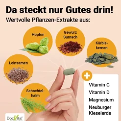 DocVital® Blasenkraft | Blase Tabletten mit Kürbiskern, Schachtelhalm, Leinsamen, Hopfen & Vitaminen| Online