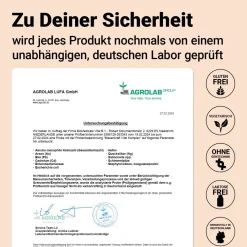 DocVital® Blasenkraft | Blase Tabletten mit Kürbiskern, Schachtelhalm, Leinsamen, Hopfen & Vitaminen| Online