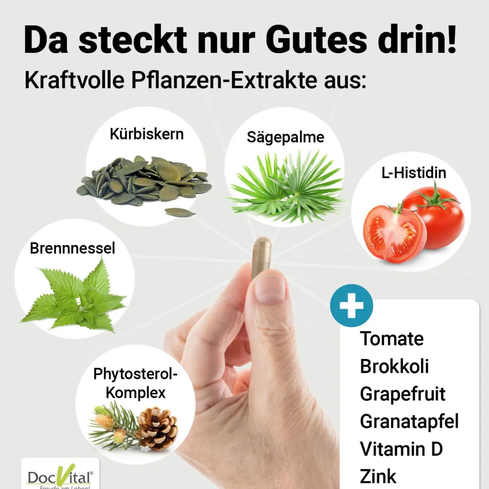 DocVital® Prostata Komplex Kapseln - Sägepalmenextrakt, Kürbiskernextrakt, Zink, Vitamin D3 & mehr>