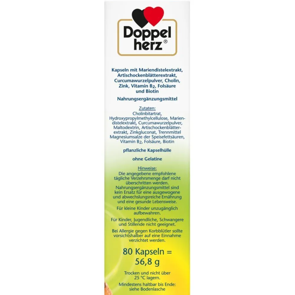 ® aktiv Leber plus mit Cholin + Zink>Doppelherz Hot