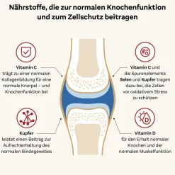 ® system KOLLAGEN 11.000 PLUS|Doppelherz Sale