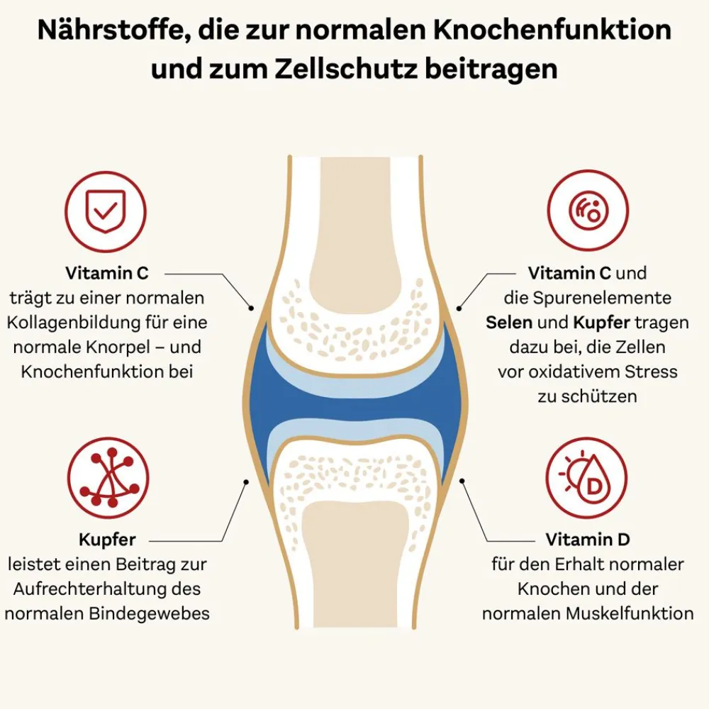 ® system KOLLAGEN 11.000 PLUS|Doppelherz Sale