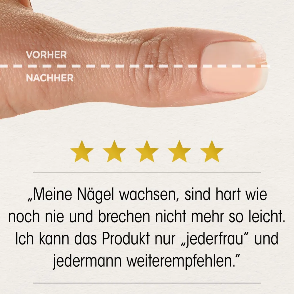 ® Haut Haare Nägel>Dr. Böhm New