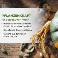 Dr. Böhm Kürbis für den Mann – mit Ginseng, Selen & Zink><noscript><img width=