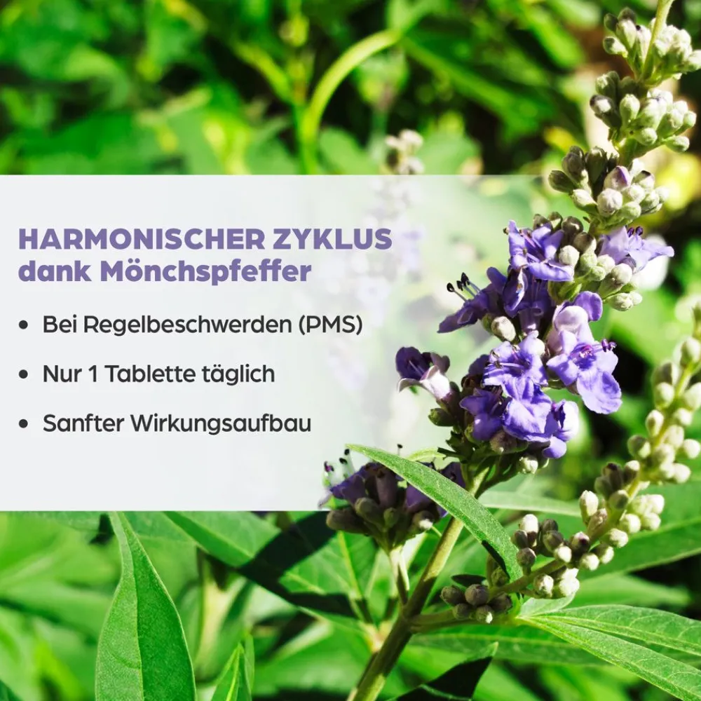 ® Mönchspfeffer 4 mg Filmtabletten>Dr. Böhm Clearance