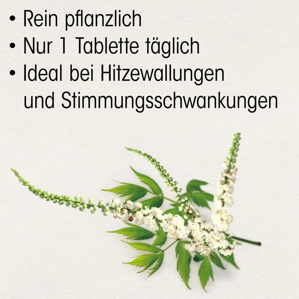 ® Traubensilberkerze 6,5 mg Filmtabletten>Dr. Böhm Outlet
