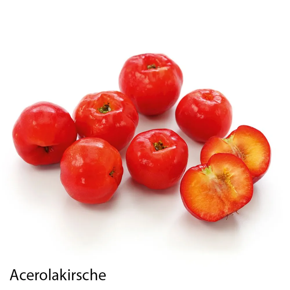 Dr. Jacob's Diosmin OPC ProVenis Polyphenole Weinrebenblätter Acerola-Vitamin C|Dr. Jacob's Sale