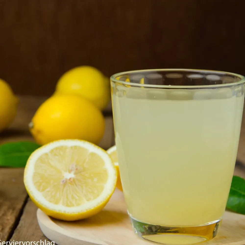 Dr. Jacob's LactaCholin fermentiert Milchsäure Cholin Vitamin-B-Komplex vegan|Dr. Jacob's Online