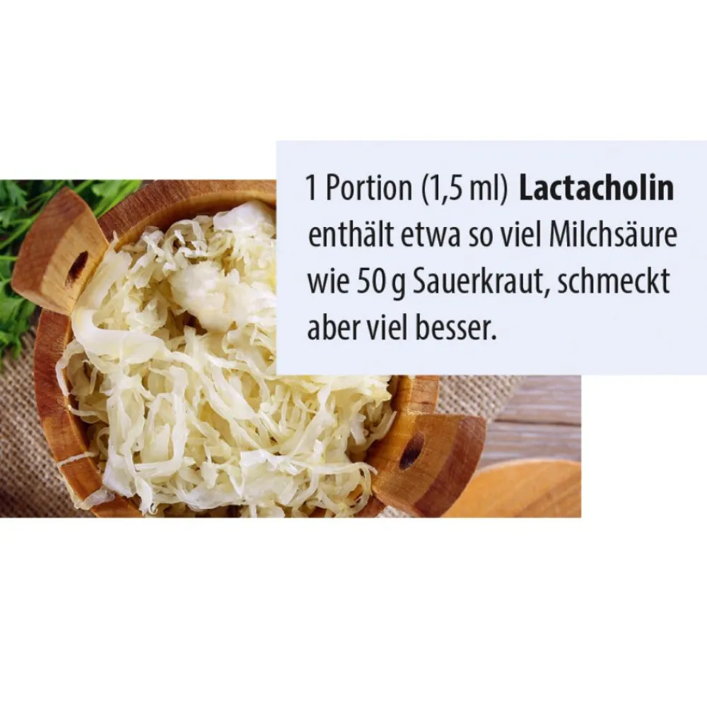 Dr. Jacob's LactaCholin fermentiert Milchsäure Cholin Vitamin-B-Komplex vegan|Dr. Jacob's Online