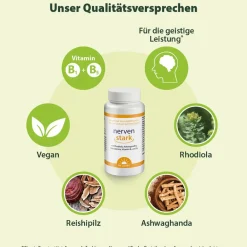 Dr. Jacob's nervenstark – Rosenwurz (Rhodiola) Ashwaganda Reishi-Pilz Vitamin B1><noscript><img width=