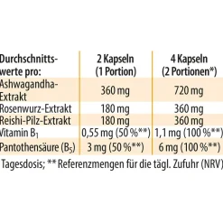Dr. Jacob's nervenstark – Rosenwurz (Rhodiola) Ashwaganda Reishi-Pilz Vitamin B1><noscript><img width=