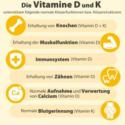 Dr. Jacob's Vitamin K2D3 Öl 1000 IE/50 mcg D3+K2 640 Tropfen vegetarisch|Dr. Jacob's Best