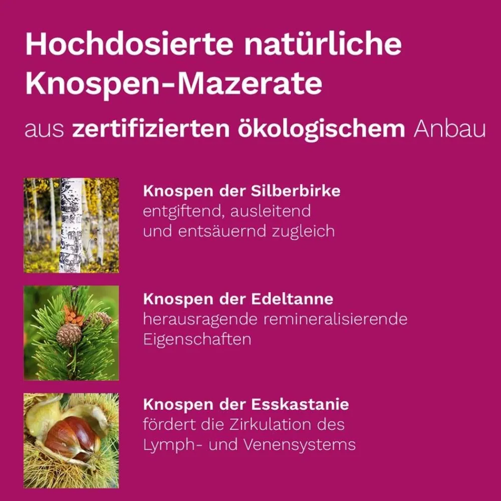 DR. KOLL Detox Plus*| Discount