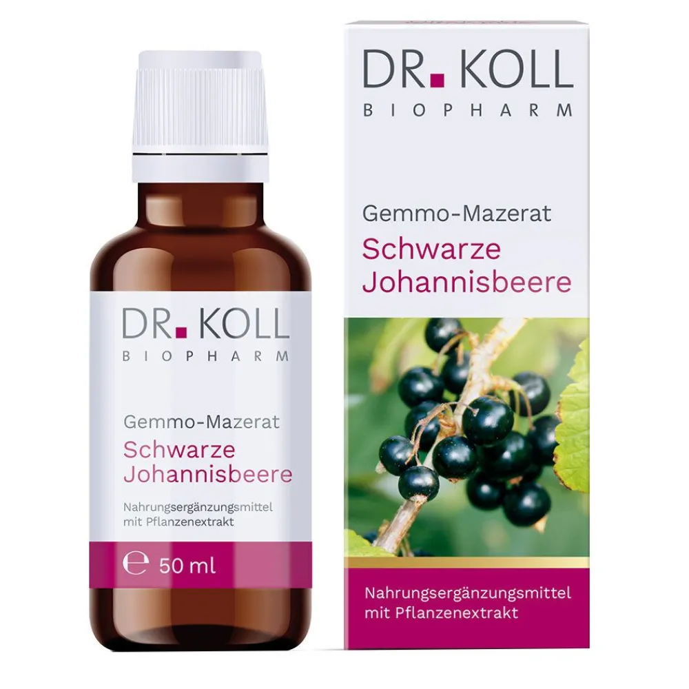 DR. KOLL GEMMO Mazerat schwarze Johannisbeere Dr.Koll Ribes| Hot