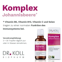 DR. KOLL Komplex Johannisbeere| Hot