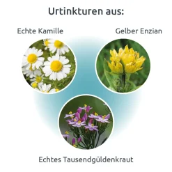Gastrin-Do® Tropfen|DR. THEISS Hot