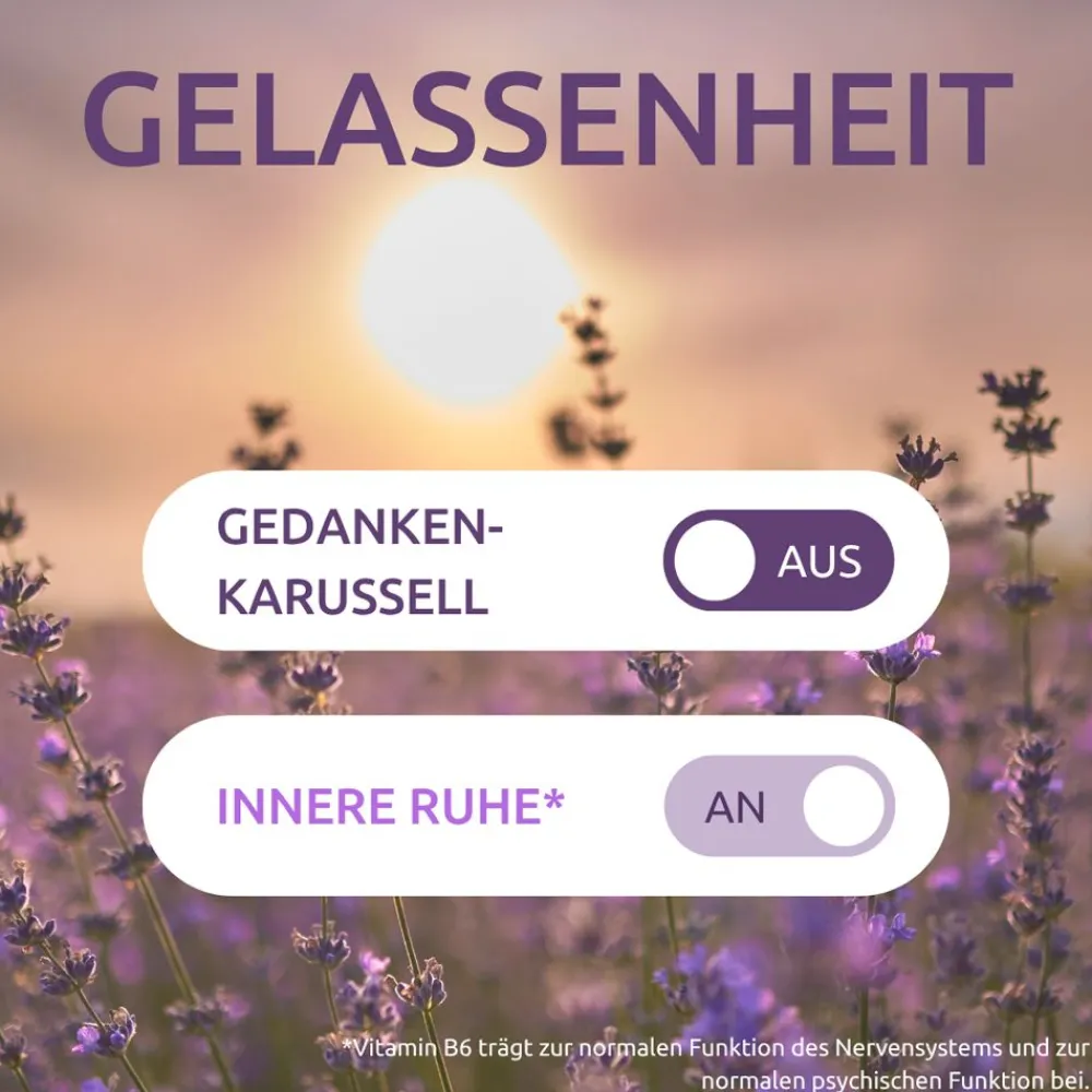 INNERE RUHE Tabletten>DR. THEISS Hot