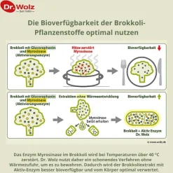 Brokkoliextrakt + Aktiv-Enzym|Dr. Wolz Discount