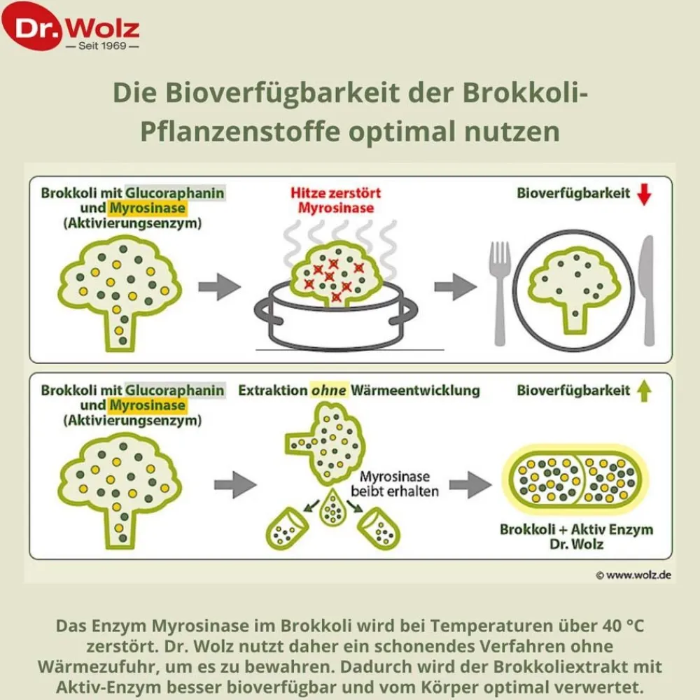 Brokkoliextrakt + Aktiv-Enzym|Dr. Wolz Discount
