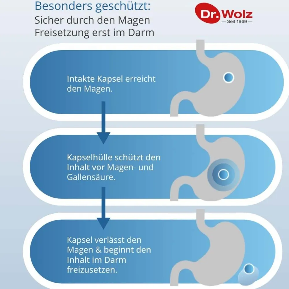 Darmflora* plus URO, 40 Kapseln>Dr. Wolz Discount