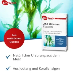 Jod Calcium Kapseln, 60 Kapseln, Jod und Calcium natürlichen Ursprungs aus dem Meer, gesunde Schilddrüse und gesunde Knochen>Dr. Wolz New