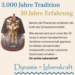 Dynamis Ägyptisches Schwarzkümmelöl Bio kaltgepresst| Online