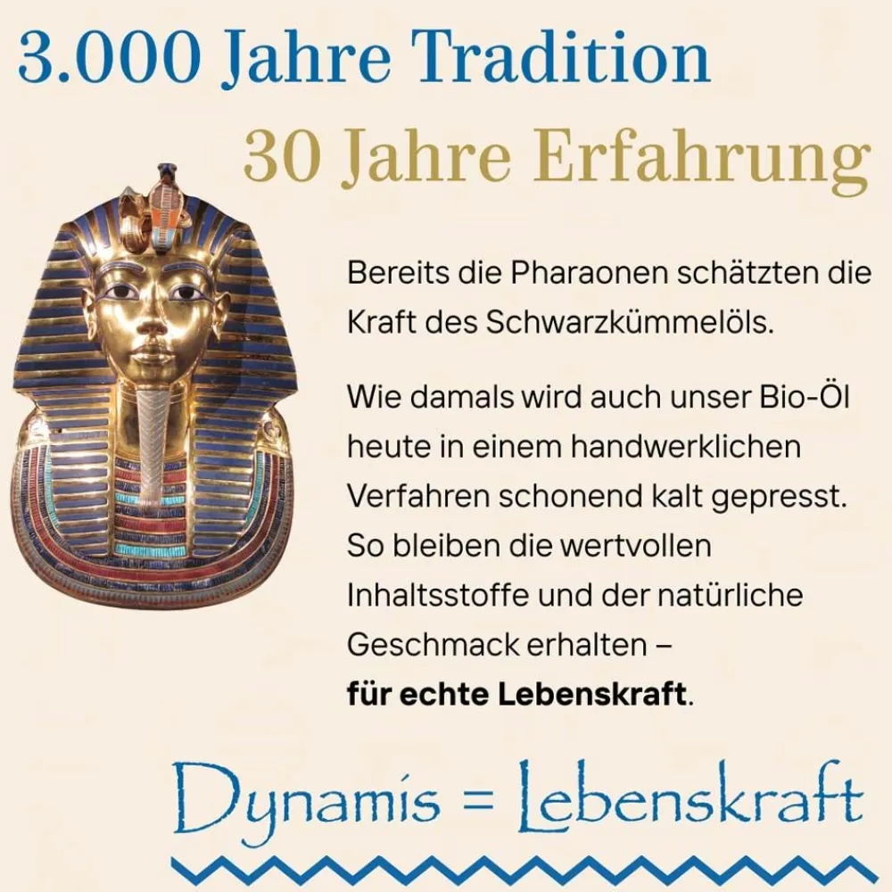 Dynamis Ägyptisches Schwarzkümmelöl Bio kaltgepresst| Online