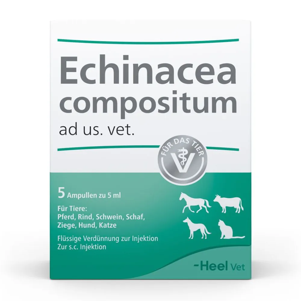 Echinacea compositum ad us. vet. Ampullen> Best
