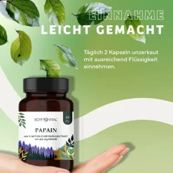 Papain|Echt Vital Best