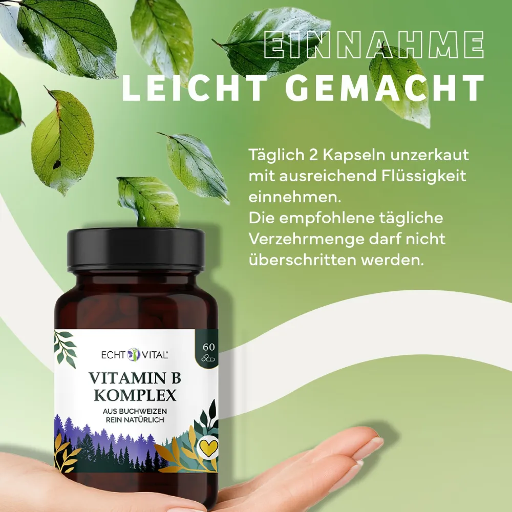Vitamin B Komplex|Echt Vital Clearance