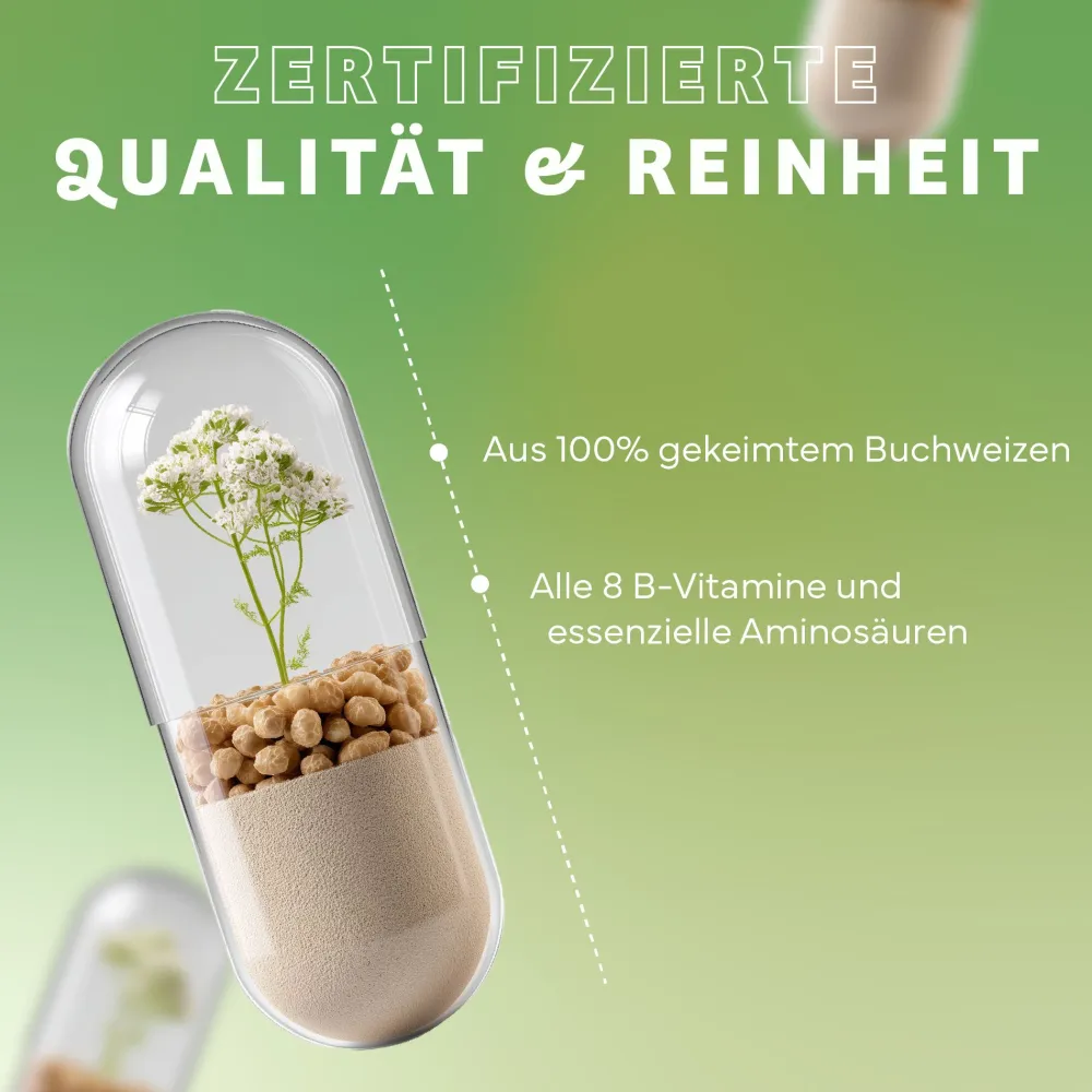 Vitamin B Komplex|Echt Vital Clearance