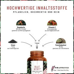 Eisen Komplex Alternative zu Eisentabletten 120 vegane Kapseln Fenchel Blutkraft ®|NATURTREU Hot