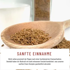 Eisen Komplex Alternative zu Eisentabletten 120 vegane Kapseln Fenchel Blutkraft ®|NATURTREU Hot