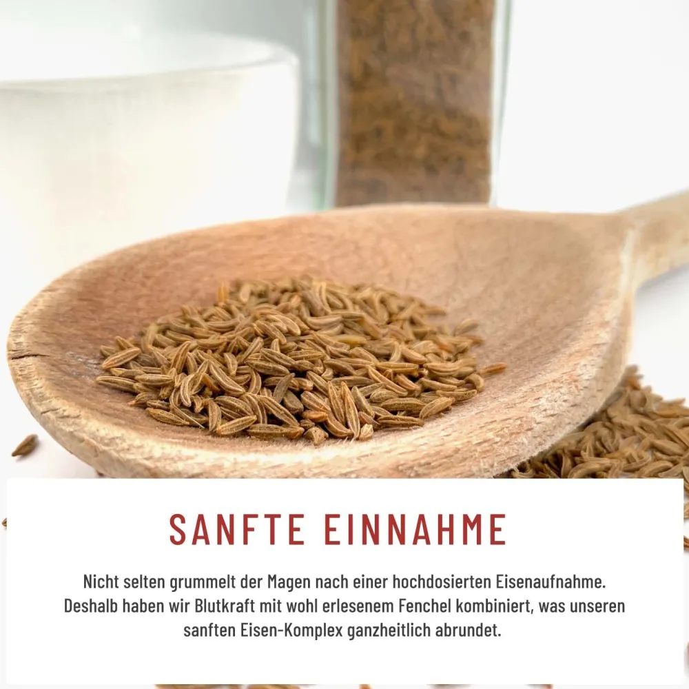 Eisen Komplex Alternative zu Eisentabletten 120 vegane Kapseln Fenchel Blutkraft ®|NATURTREU Hot