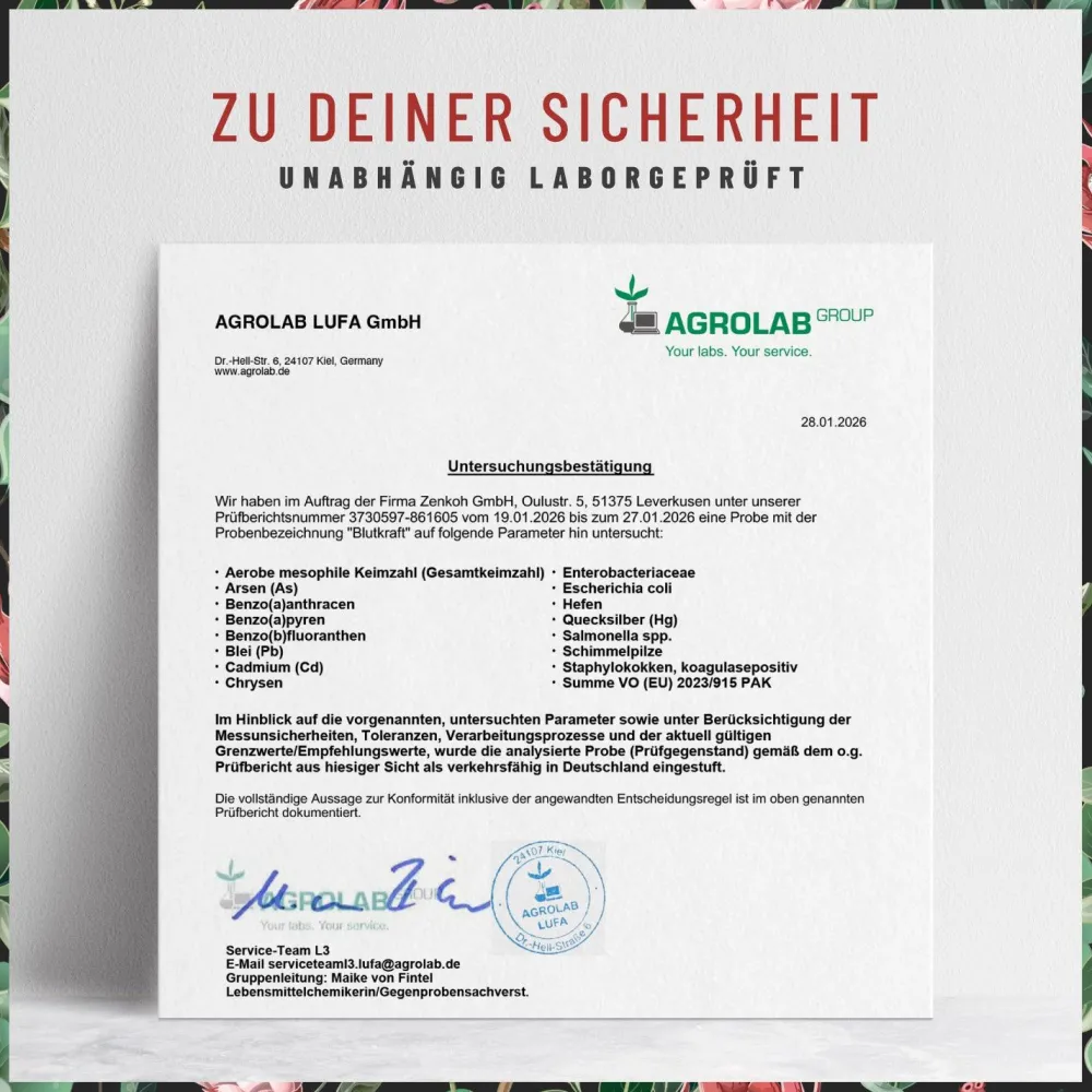 Eisen Komplex Alternative zu Eisentabletten 120 vegane Kapseln Fenchel Blutkraft ®|NATURTREU Hot