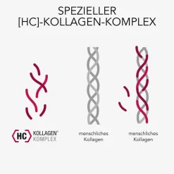 ® Kollagen Trinkampullen für schöne Haut – das studiengeprüfte Original, mit Acerola, Vitamin C, Zink, Biotin|Elasten Best